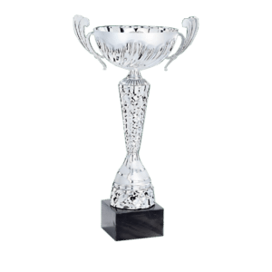 Silverfärgad pokal