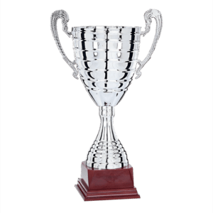 Silverfärgad pokal