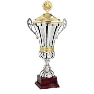 Exklusiv pokal med lock