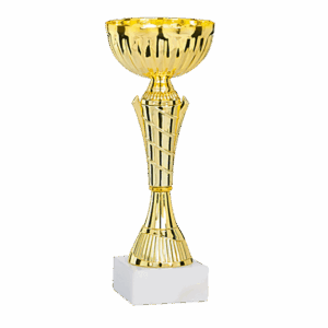 Pokal Aspudden