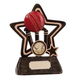 Statyett Little Star Cricket