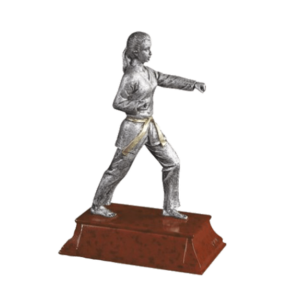 Statyett Karate Kvinnlig