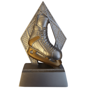 Ishockeyskridsko retsinstatyett