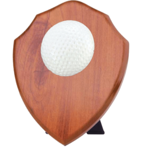 Träsköld med stöd