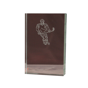 Ishockey glasplakett