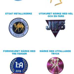 Pins broscher märken